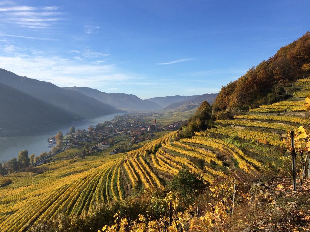 Weingut Langmayer Wösendorf Eksteriør billede